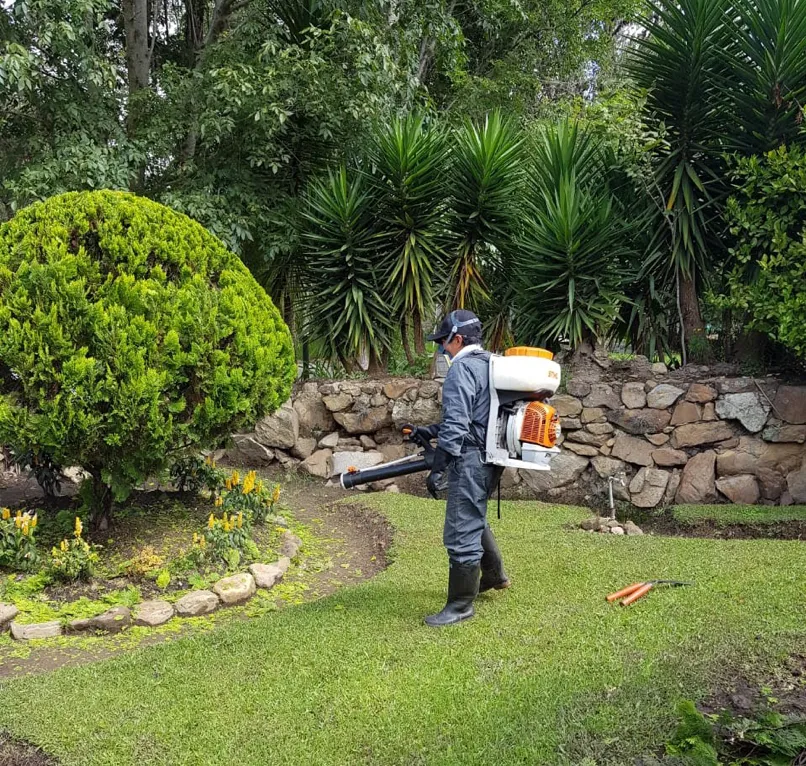 Control de plagas en una empresa de Bogotá