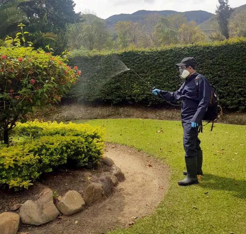 Mantenimiento de jardín realizado por Fumigaciones El Triunfo