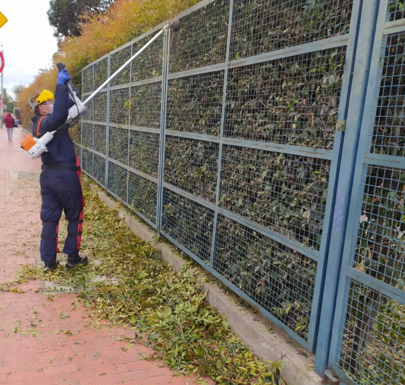Jardinero de Fumigaciones El Triunfo haciendo mantenimiento de jardín en Bogotá